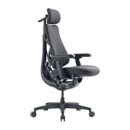 LiberNovo Omni GEN 45 cm Ergonomic Chair (Graphite)